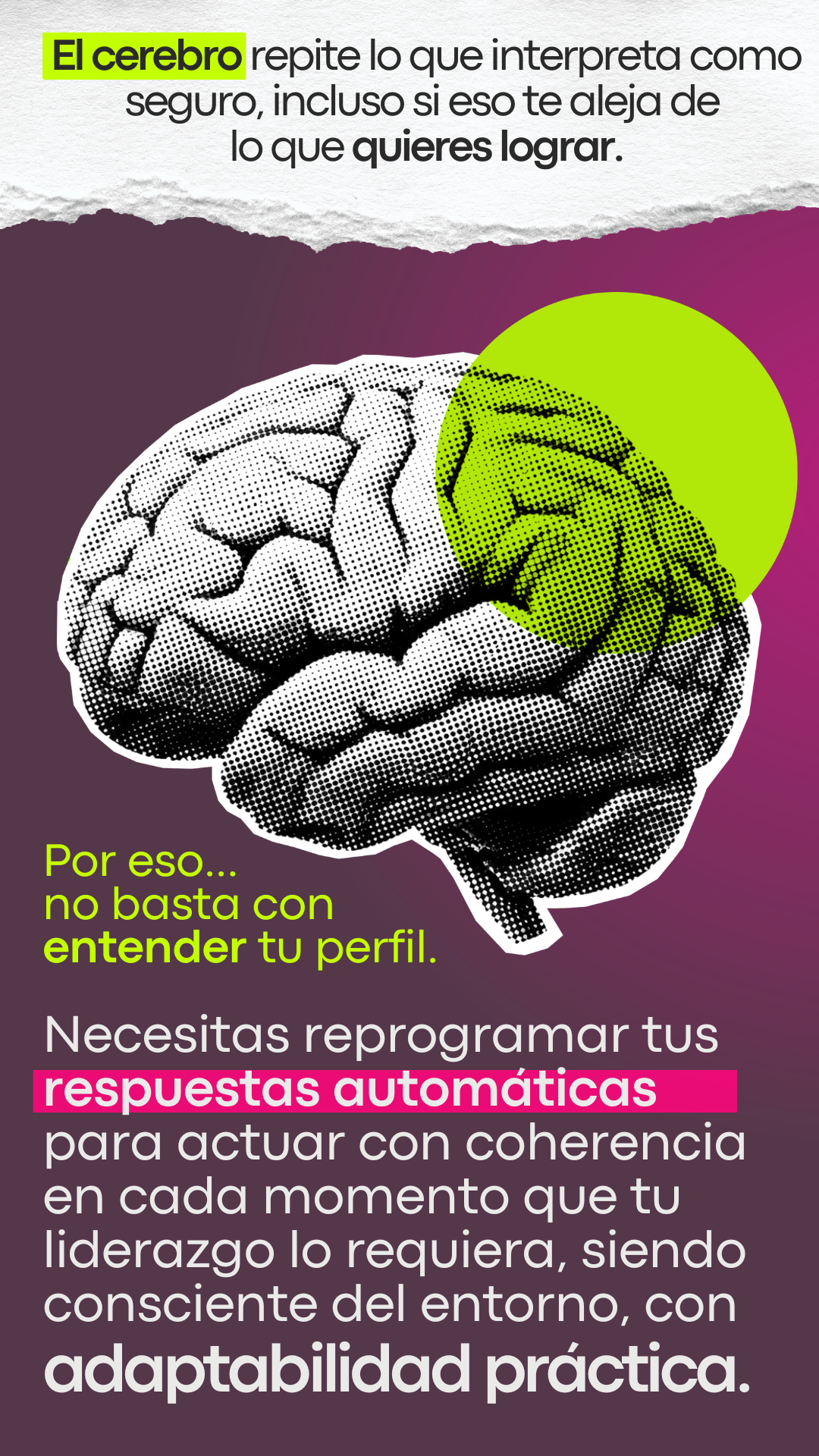 El cerebro repite lo que interpreta como seguro — reprogramá tus respuestas automáticas